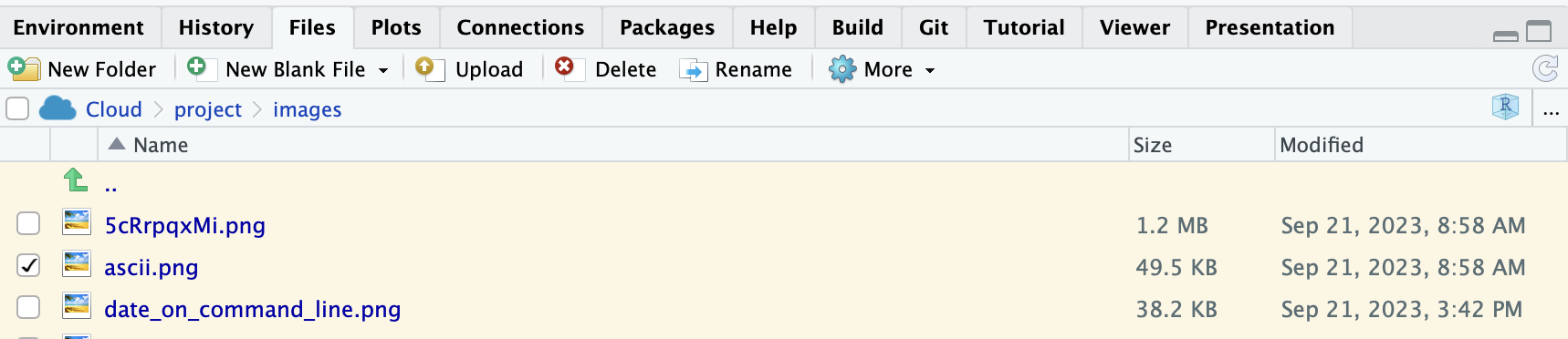 The current directory in this image is `/cloud/project/images/`, where I use the final / to indicate that `images/` is a directory, not a file. In Posit.cloud, `/cloud` is the 'root' directory. If a file's path is written out all the way from the root, it is known as the absolute path, e.g.` /cloud/project/images/ascii.png`