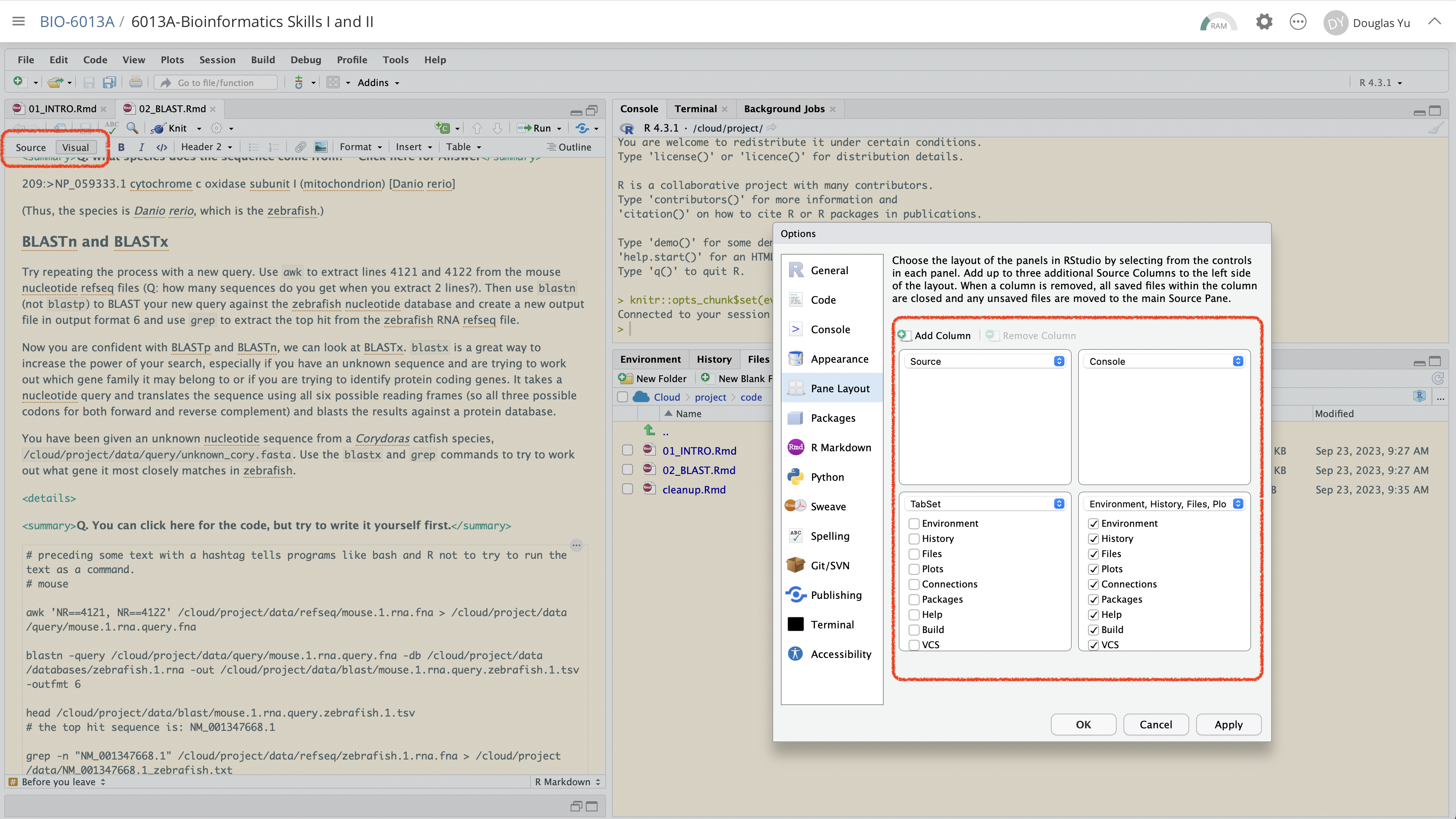 Customisation of the RStudio workspace