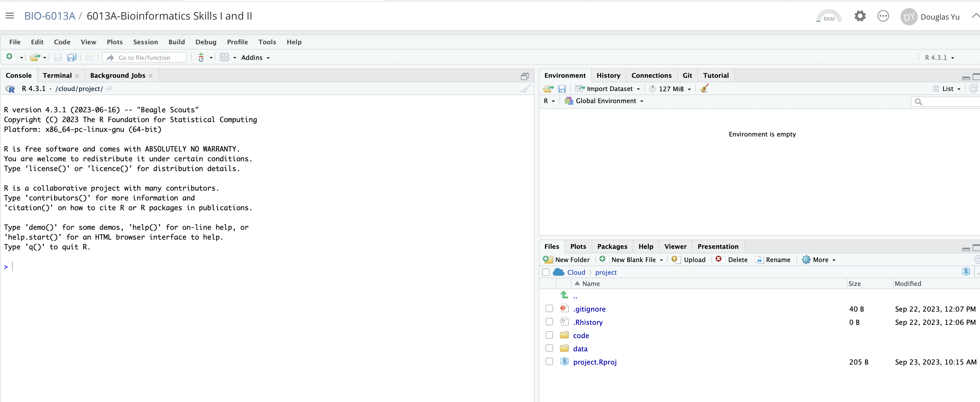 Default RStudio workspace